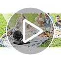 AJVV Camping Fan with Light, Remote and Oscillation, Battery Powered Hanging Tent Fan, Rechargeable Portable for Camp, Out...