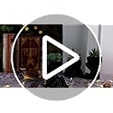Der Rose 3pcs Fake Succulents Plants Artificial for Black Bathroom Bedroom Home Living Room Halloween Decor Aesthetic Indoor