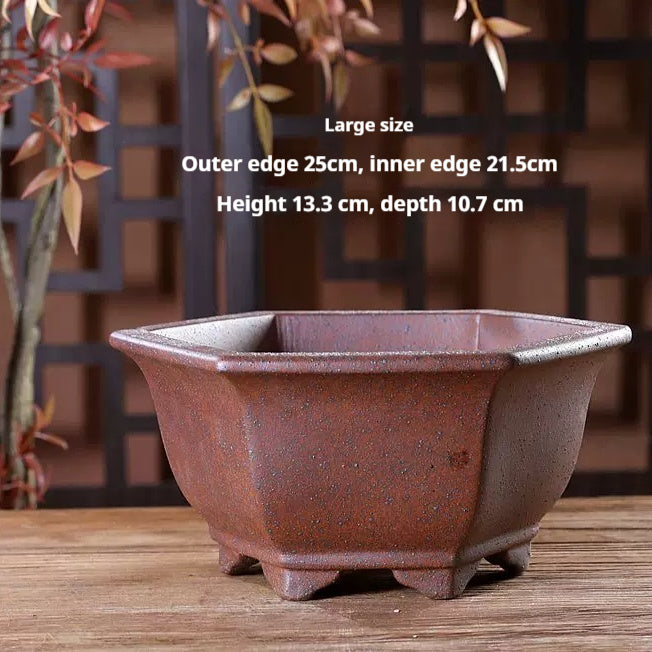 Green Plant Succulents Indoor Desk Purple Clay Flower Pot