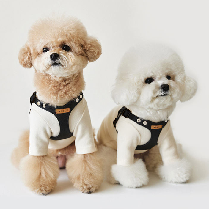Pet Dog Leash TeddyBichon Outdoor Chest Harness And Leash