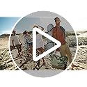 KawaGebo Kamp Beach Tent Sun Shelter for 4-6 Person - Pop Up Beach Tent UPF 50+ UV Protection, Lightweight and Easy Setup ...