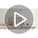 NIKKY HOME Farmhouse Boho Style Floral Picture Frame 4x6 Rustic Resin Photo Frame with Distressed White Finish, High Defin...