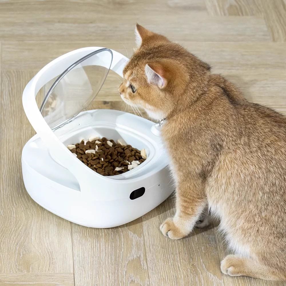 Smart Pet Feeder Prevent Stealing Accurate