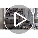 SONGMICS Necklace Holder, Jewelry Stand Holder Organizer, Jewelry Display with Metal Frame, Velvet Tray, Earring Bracelet ...