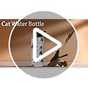 Sabobo Cat Gifts 32oz Water Bottles for Women Men, Cute Cats Stainless Steel Leak Proof Sport & Gym Water Bottle with Flip...