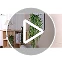 Der Rose 4Pcs Fake Plants Hanging Artificial Ivy Vine Faux Eucalyptus Hanging Plants, Boston Fern, String of Pearls for Li...