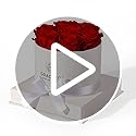 Graclect Flowers for Delivery Prime - Preserved Roses in a Box - Forever Flowers, Immortal Roses, Eternal Rose Birthday Gi...
