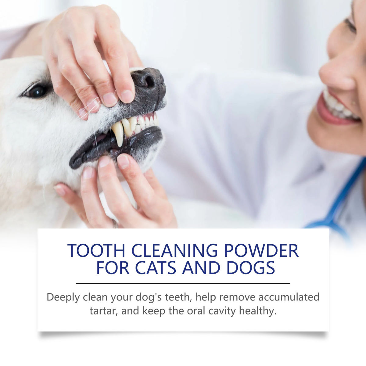 Pet Teeth Cleaning And Stain Removal
