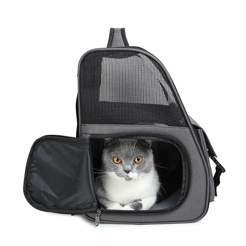 Breathable Transparent Outdoor Pet Backpack For Cats And Dogs