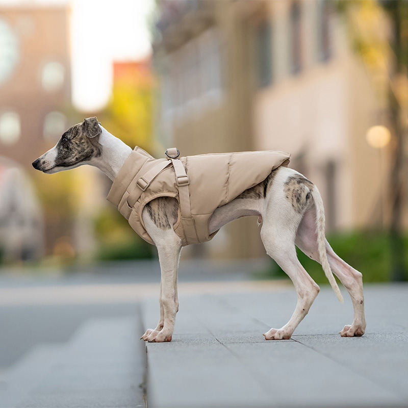 Powder Pet Winter Clothing Warm Thick Windproof Dog Clothes