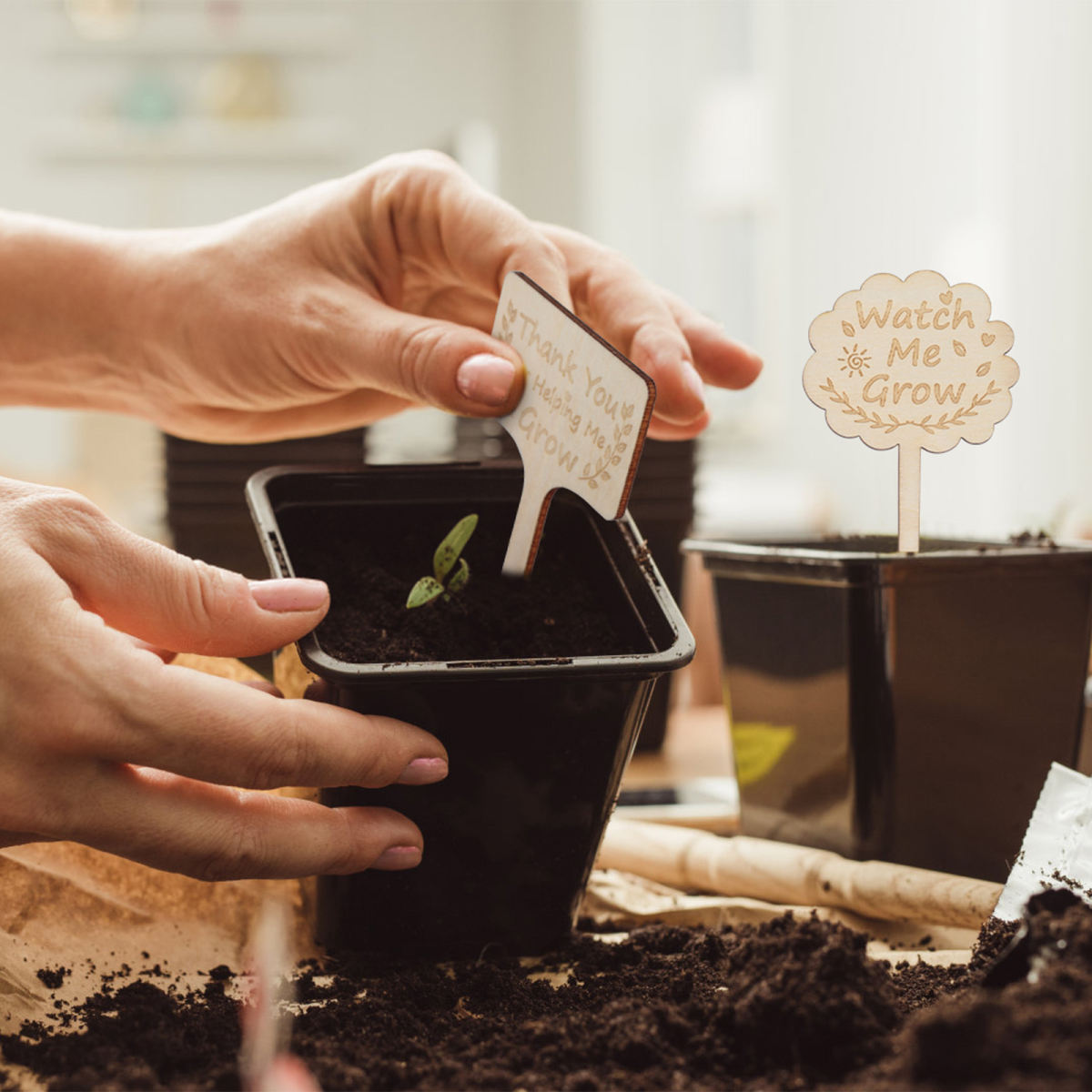 Plant Label Set - 30 Versatile Labeling Tools For Organization And Decoration