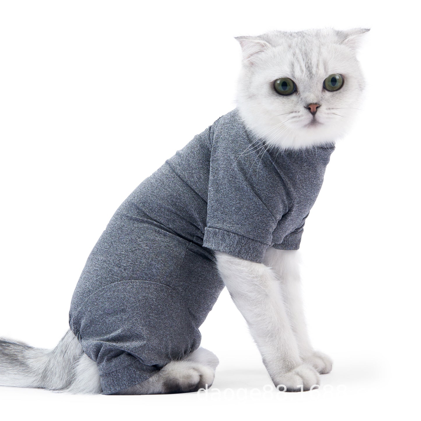 Cat Surgery Post Operative Recovery Four Legged Clothes