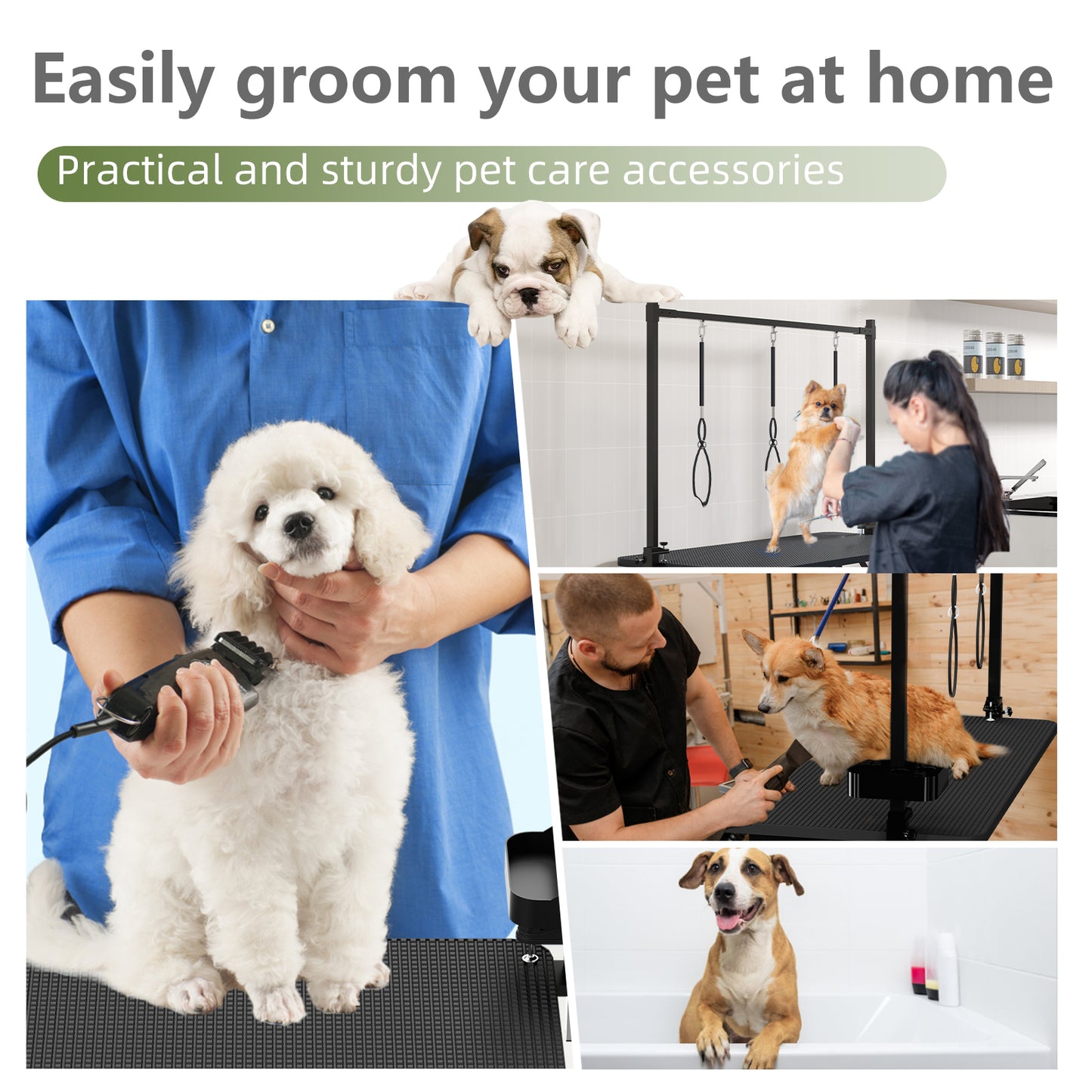 47 Black Large Dog Grooming Table X-Lift Foldable Grooming Table For Dogs At Home Adjustable Height Arms Pet Station With Nooses, Tool Organizer