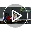Jefuzh 50 PCS Fake Pink Roses, Artificial Flowers Bulk Realistic Silk Faux Rose with Stems for Wedding Decoration Bridal B...