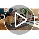 OLANLY Area Rugs for Living Room Bedroom, Machine Washable 4x5.9 ft Soft Fluffy Shaggy Bedside Rug, Indoor Floor Carpet fo...