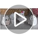 L LOHAS LED Plug-in Night Light for Kids, Cute Color Changing LED Night Light with Dusk to Dawn Sensor, Christmas, Birthda...