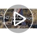 NZ home Insulated Bags for Food Delivery (XL Plus) Grocery Shopping Cooler Bag, Pizza Delivery, Hot & Cold Catering Tote, ...