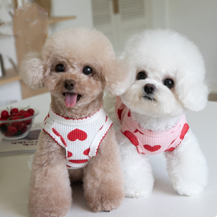 Sun-protection Cute Pet Clothes For Home
