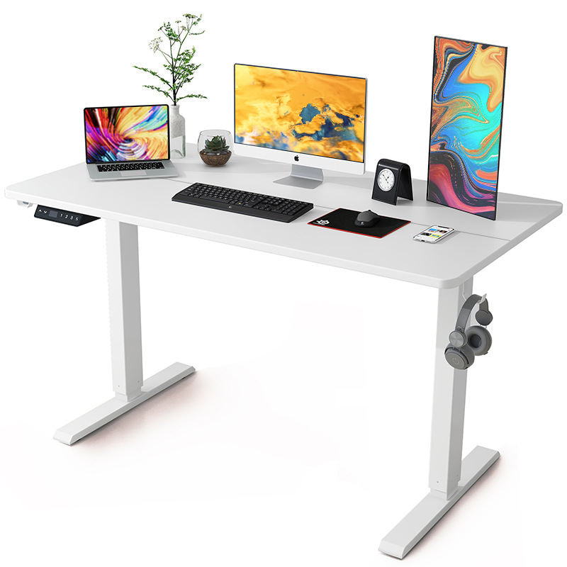 Basic Dual-Motor Electric Standing Desk