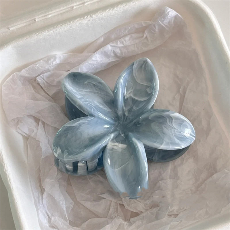 Simple Elegant Half-up Hair Clip For The Back Of The Head