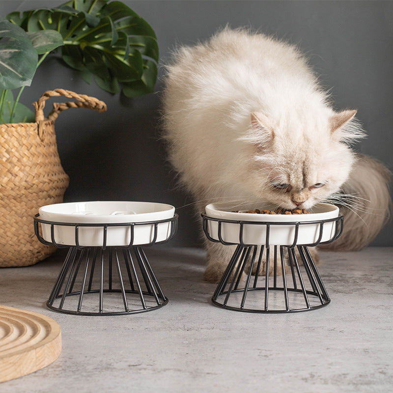 Ceramic Slow-feeding Bowl With Cervical Spine Protection Stand For Dogs