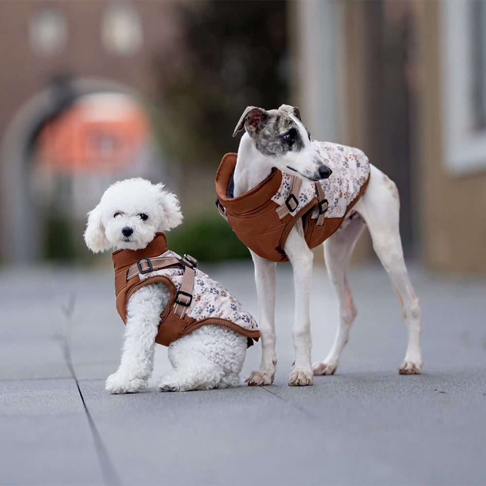 Pet Dog Clothes Winter Dog Chest And Back Cotton-padded Clothes