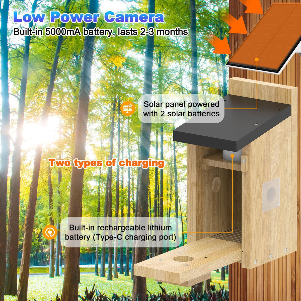 Outdoor Simple Solar-Powered Smart Visual Birdhouse