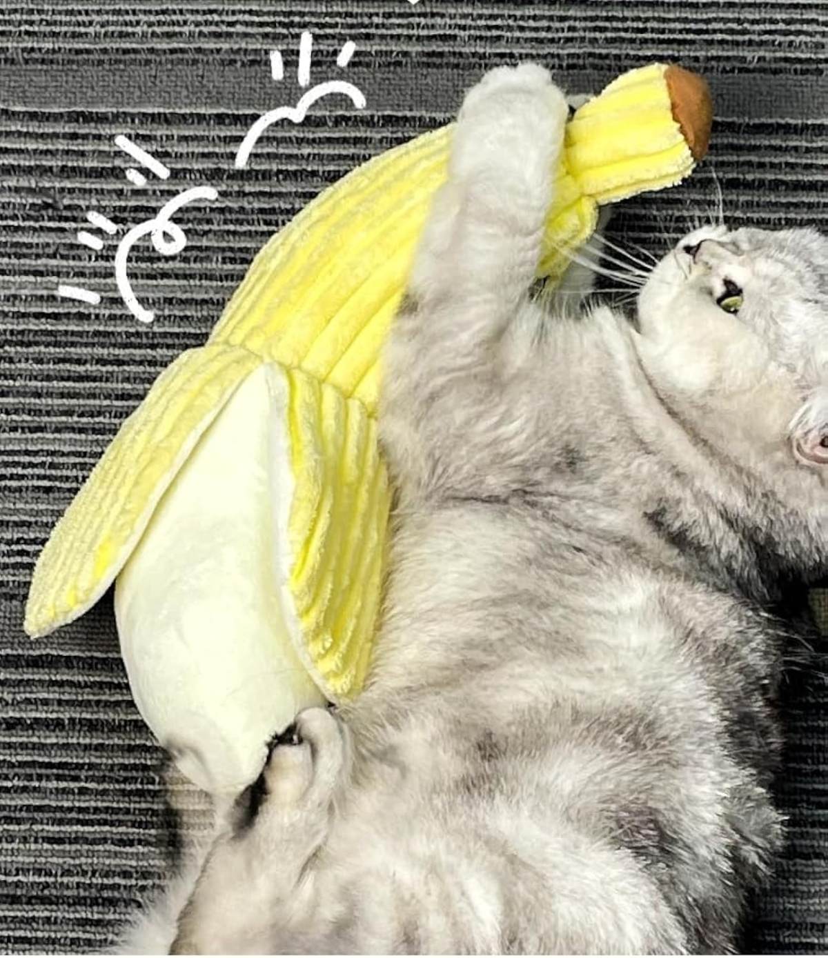 Banana Cat Crinkle Toy Catnip Crinkle Sound Toys Fruit Cat Chew Toy Corn Cat Toy For Indoor Kitten Exercise Soft And Durable