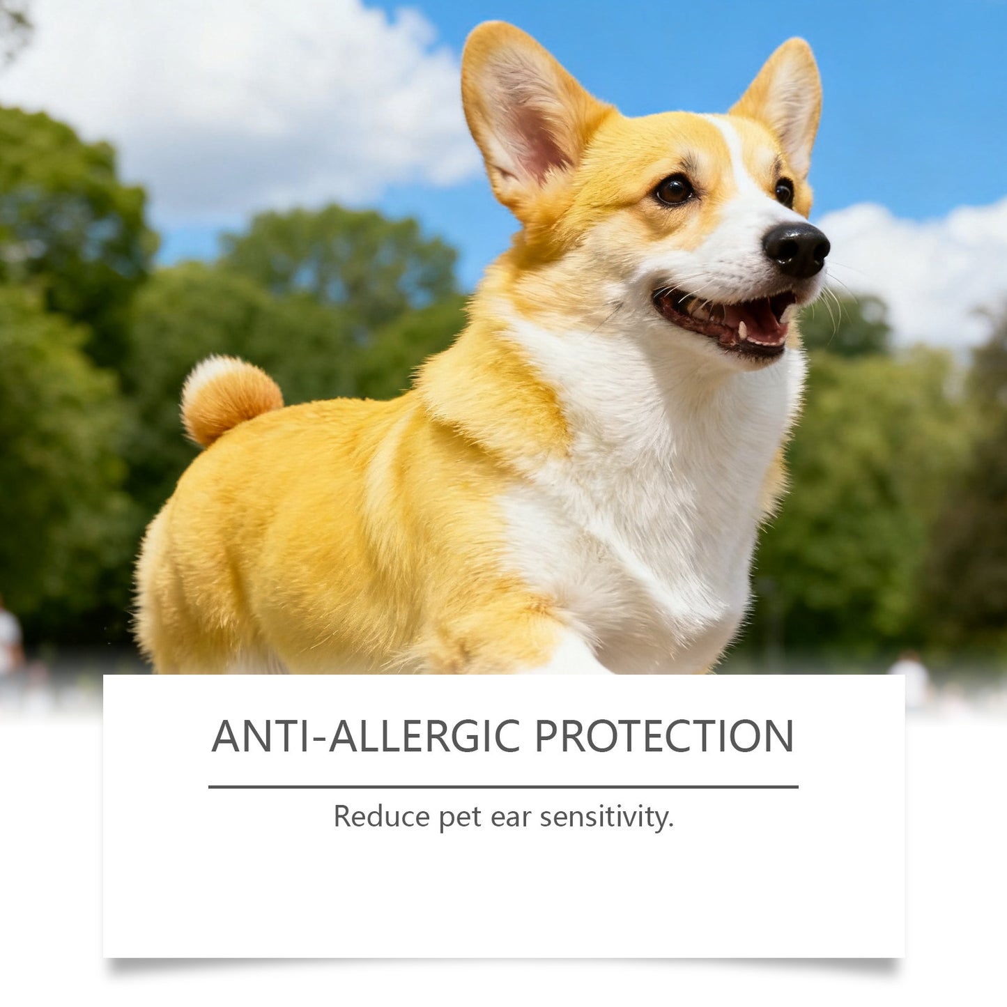 Pet Care Solution With A Gentle Formula For Cleaning Ear Canals