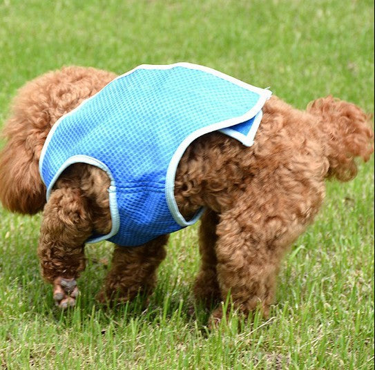 PVA Summer Dogs And Cats Clothes Cooling Vest Pet Supplies