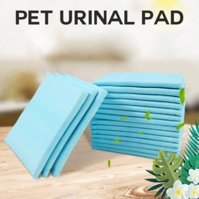 29X22X13.5 Pet Training Pads Puppy Toilet Potty Mat Indoor Dog Cat Pad 60X60cm Absorbent