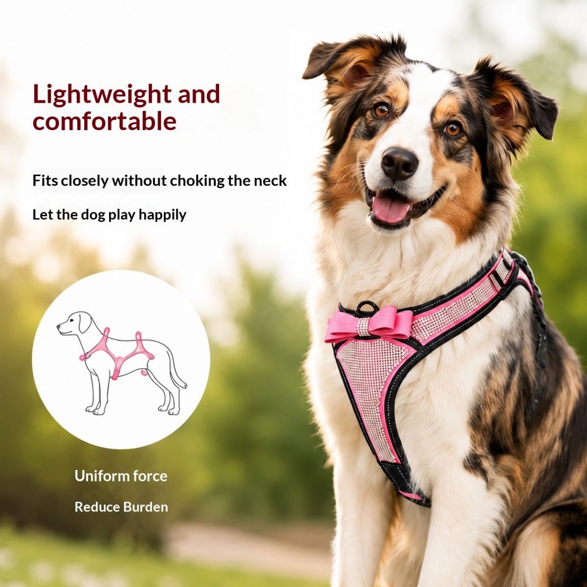 Outdoor Dog Harness For Small And Medium-sized Dogs