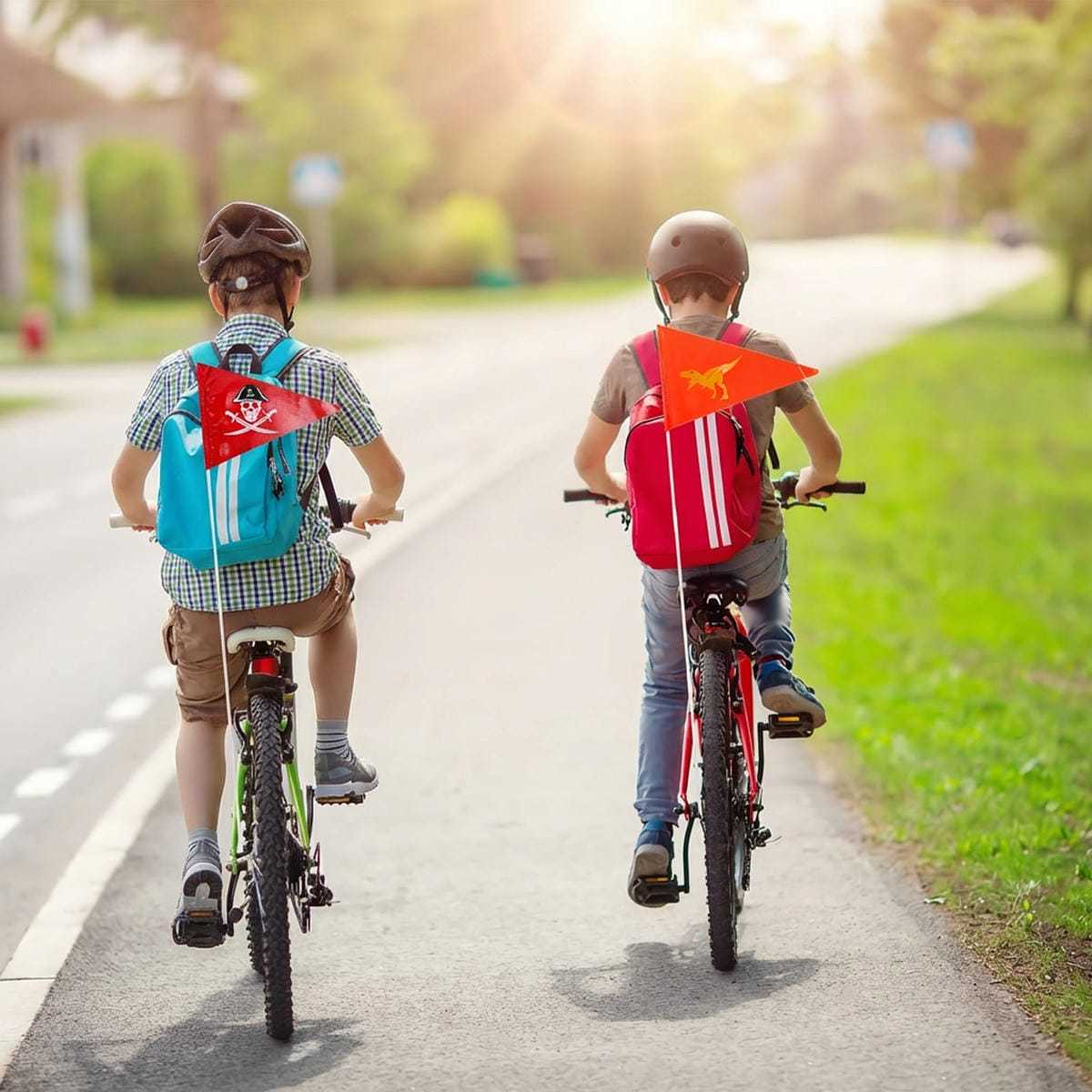 Bicycle Reflective Flag Set – 2 Designs Including 5 Poles For Better Visibility While Cycling – Accessories Set