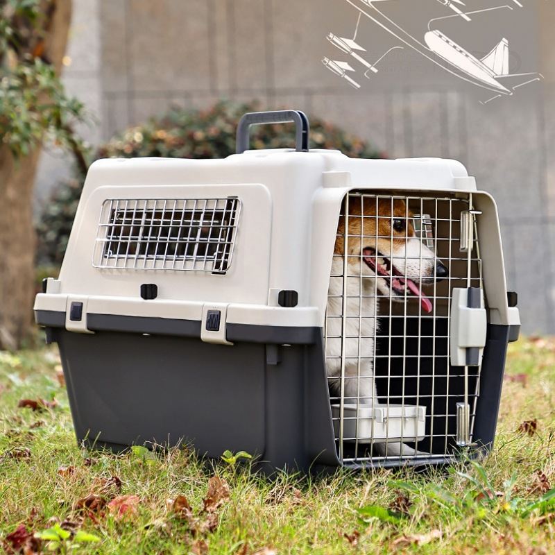 Pet Carrier With Wheels IATA Airline Approved Double Security Locks With Wire Door And Side Windows