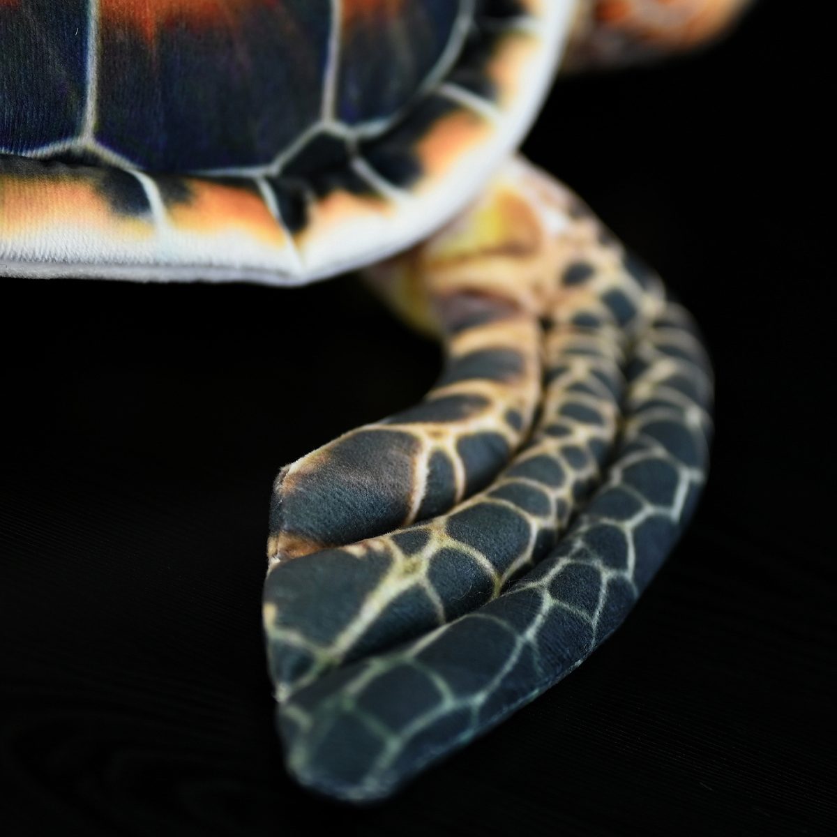 Cute Turtle Dolls Plush Toys