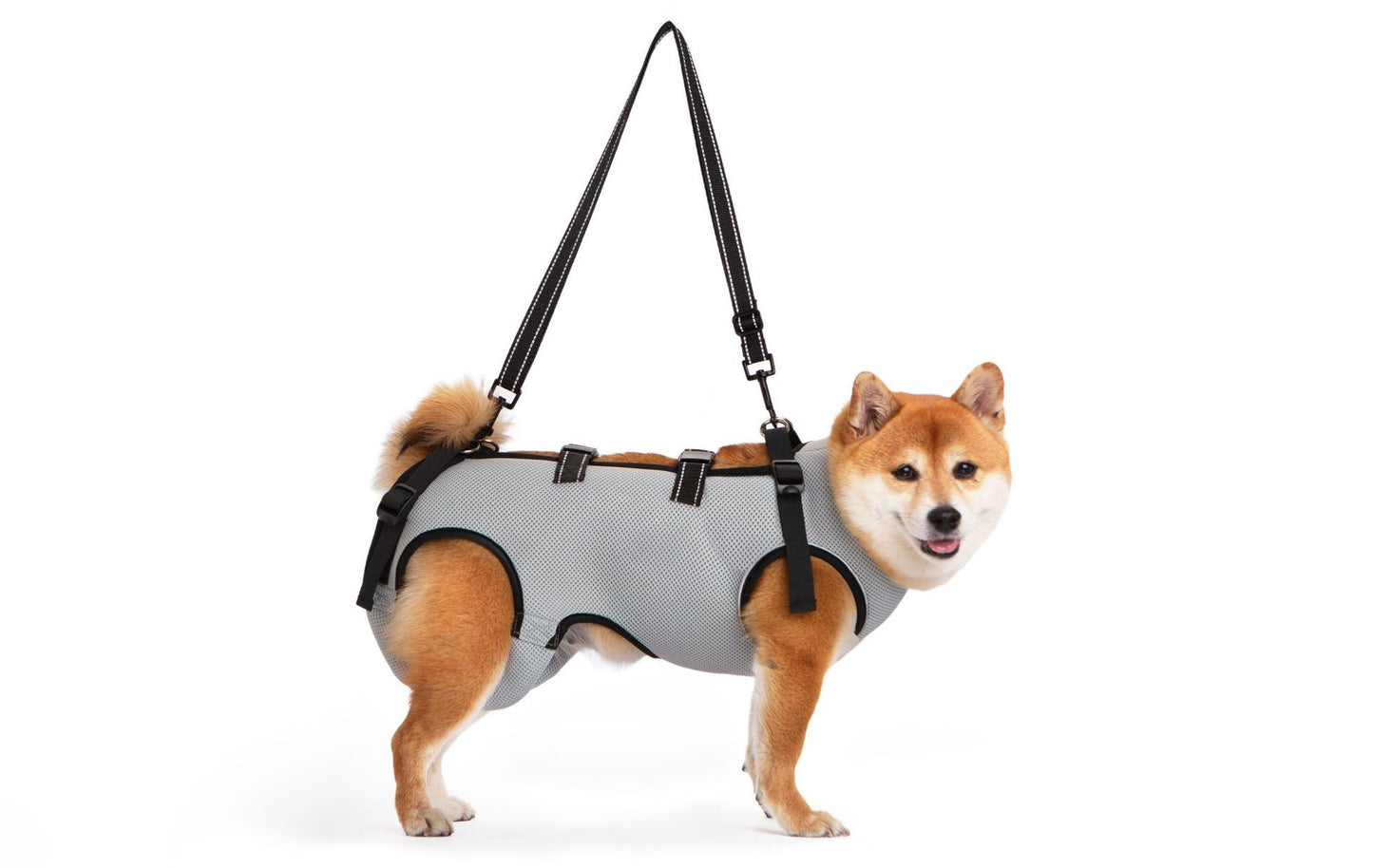 Pet-assisted Clothing For Senior Dogs