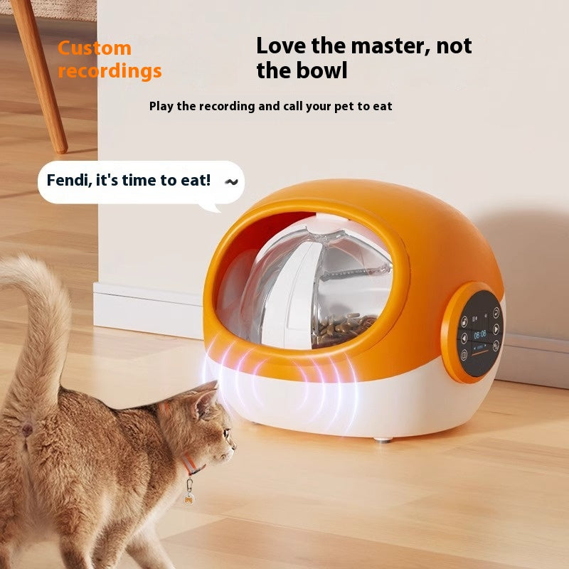 Smart Automatic Cat Chip Feeder With Lid Timed Schedule Feedings