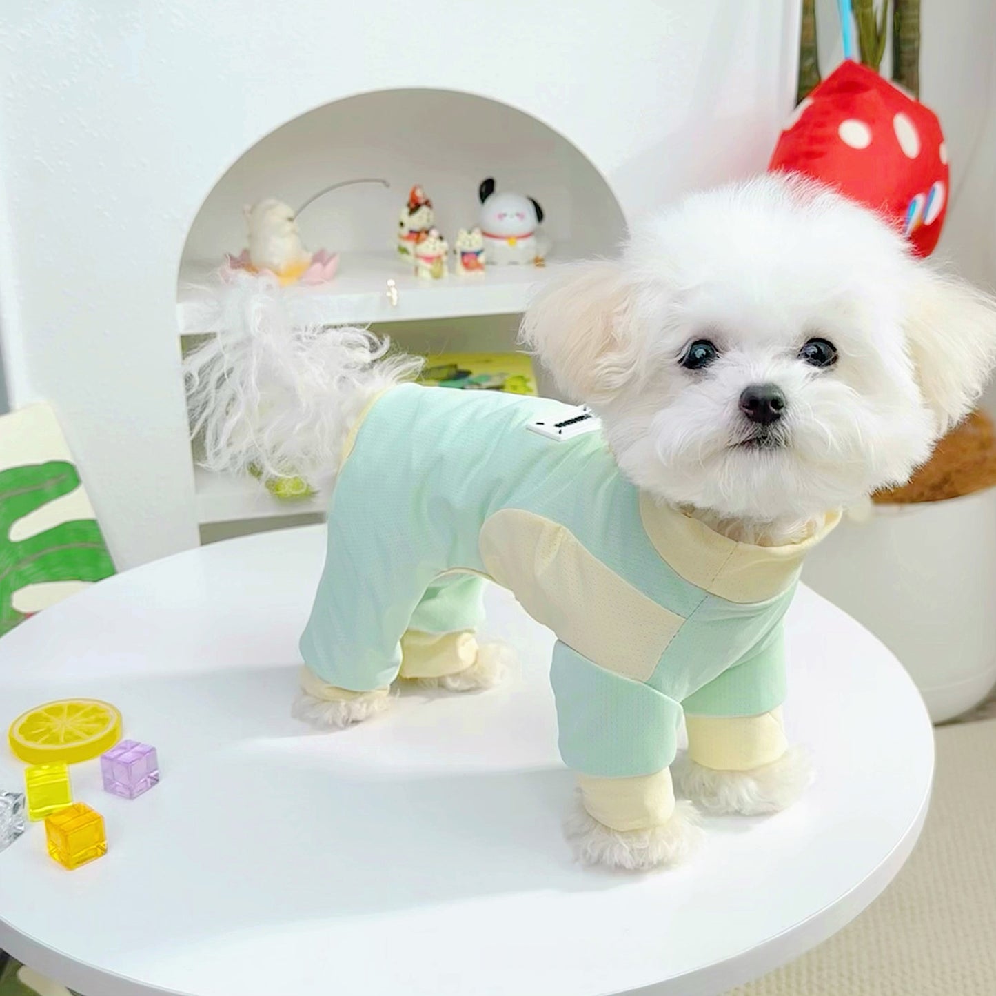 Pet Dog Clothes SpringSummer Ice Silk Cooling Four-Piece Suit