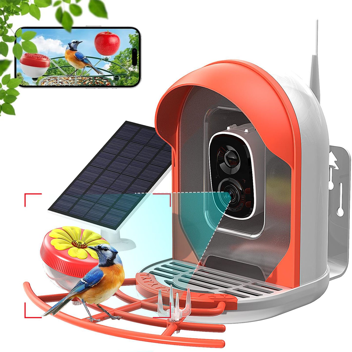 Smart Bird Feeder With AI-powered Camera Outdoor Solar Charging
