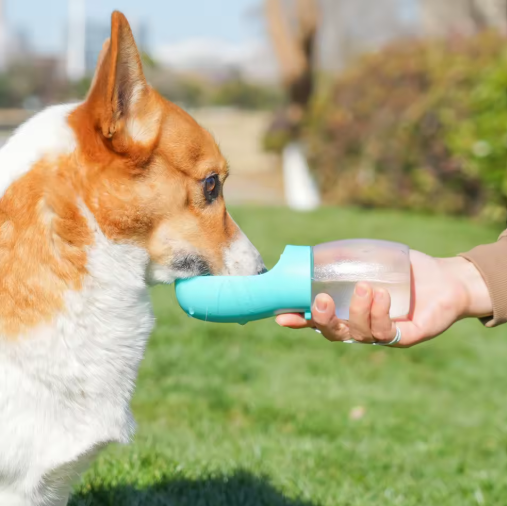 Pet Water Cup Outdoor Portable Water Bottle