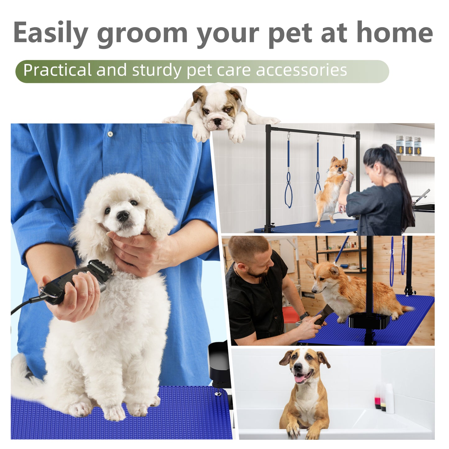 47 Blue Large Dog Grooming Table X-Lift Foldable Grooming Table For Dogs At Home Adjustable Height Arms Pet Station With Nooses, Tool Organizer
