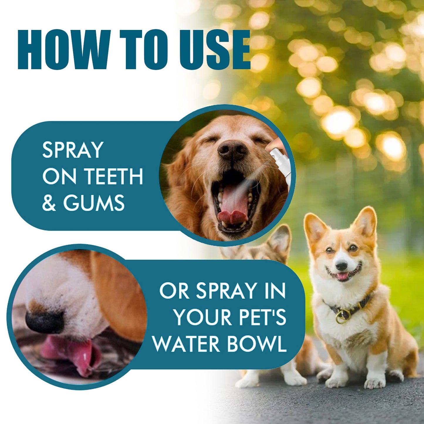 Pet Oral Care Spray To Eliminate Bad Breath