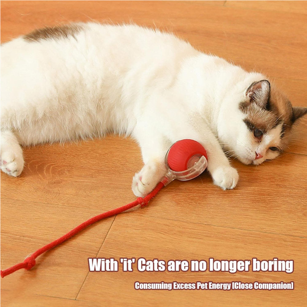 Electric Dog Cat Ball Toy,Indoor Large And Small Cat Dog Interactive Intelligent Rolling Pet Ball
