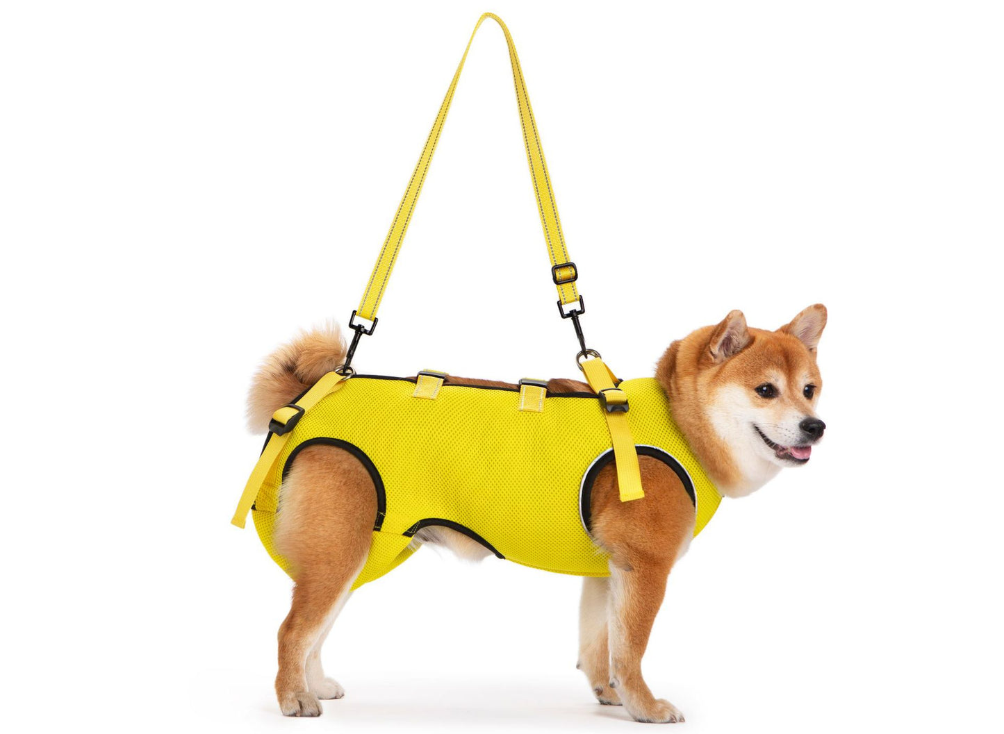 Pet-assisted Clothing For Senior Dogs