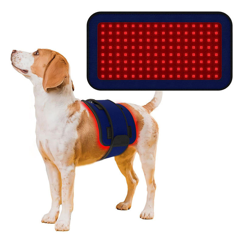Pet Red Light Infrared Therapy Device Portable Wireless Therapy Mat For Fracture Healing
