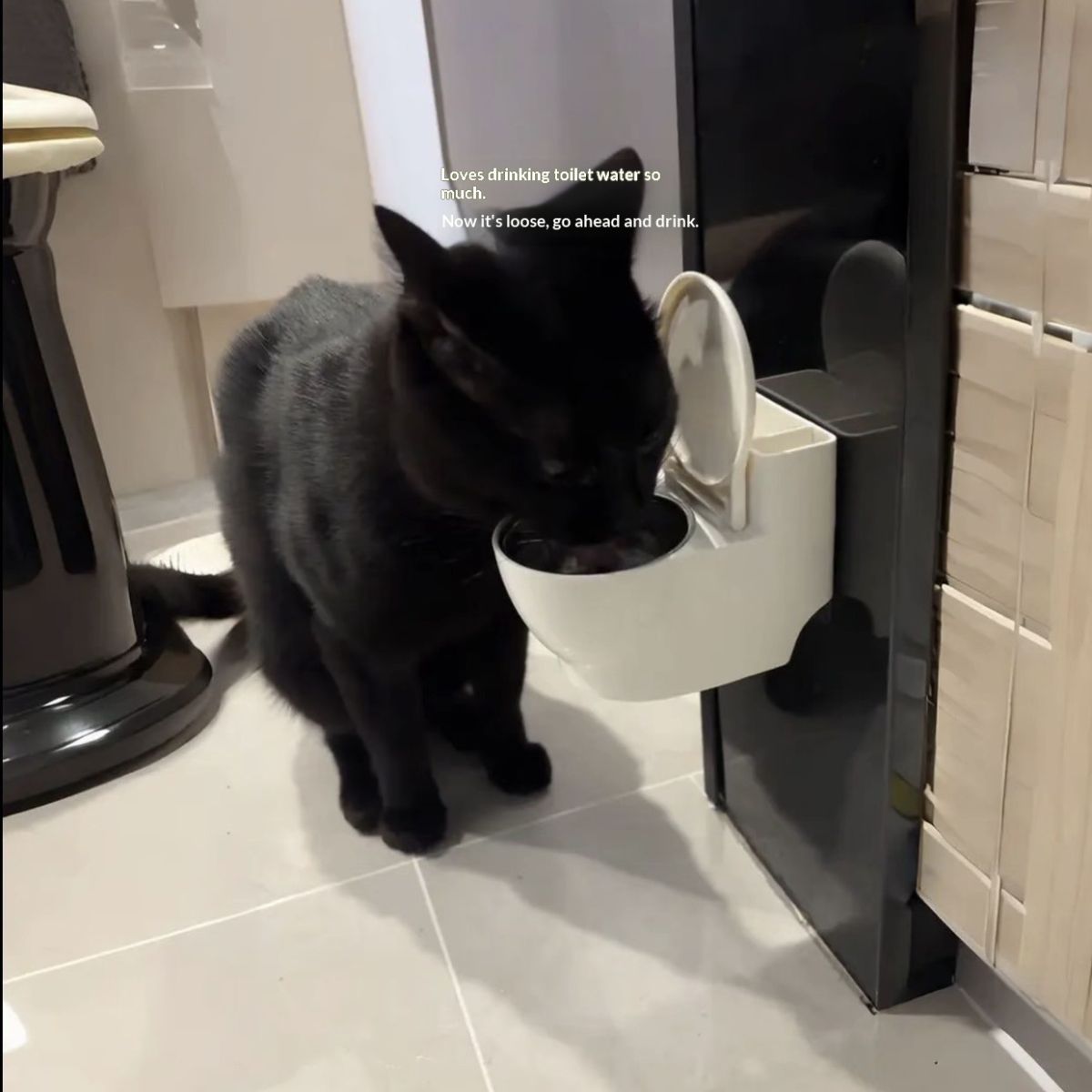 Pet Creative Toilet Water Dispenser