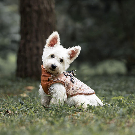 Pet Dog Clothes Winter Dog Chest And Back Cotton-padded Clothes