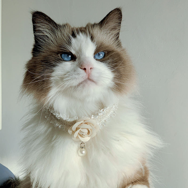 New Pet Cat And Dog Magnolia Flower Small Fragrance Collar Accessory
