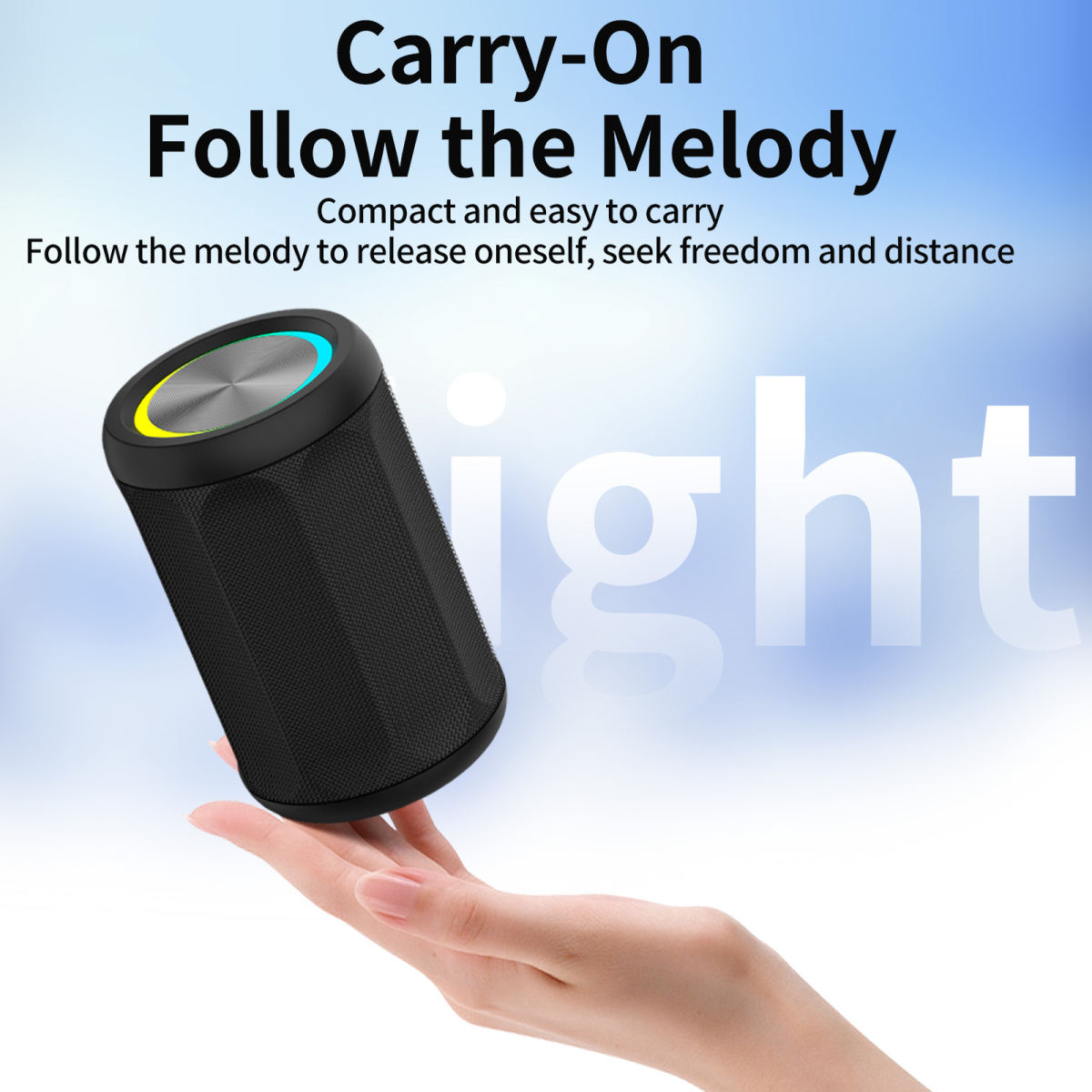 Portable Home Subwoofer Speaker For Outdoor Use