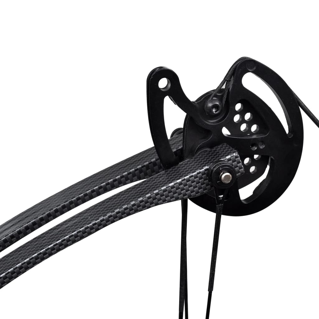 Compound bow with accessories and fiberglass arrows for adults